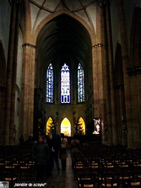 La Collégiale St-Martin, la nef centrale