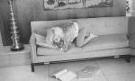 1962-06-tim_leimert_house-pucci_jacket-sofa-by_barris-012-2-2a