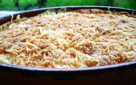 gratin_de_c_leri_2