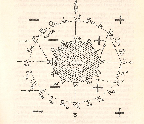 le-tronc-de-Jean-De-la-Foye