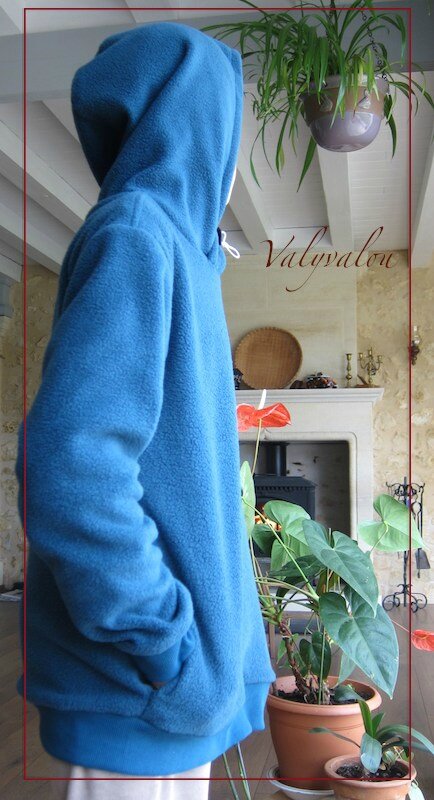 Pull capuche petrole Tim3