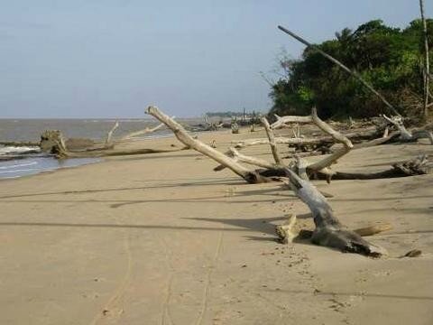 Plage de l'Anse_ Kourou