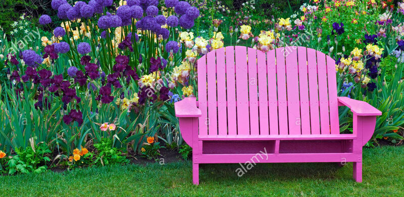 les-chefs-d-mauve-allium-gladiator-se-demarquent-a-l-iris-schreiner-afficher-dans-le-jardin-de-l-oregon-comte-de-marion-bmkj6w