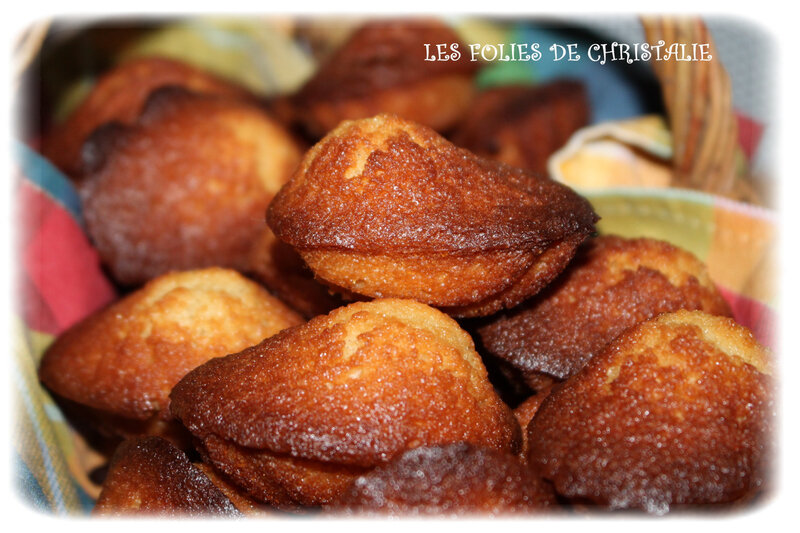 Madeleines 8