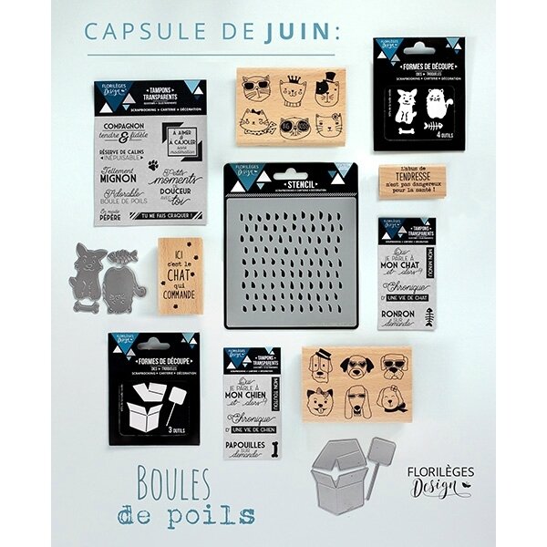 pack-capsule-de-juin-2017