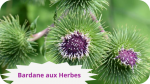 32 BARDANE(1)Bardane aux herbes-modified