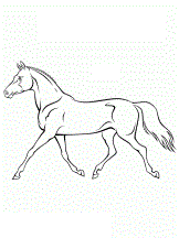 cheval