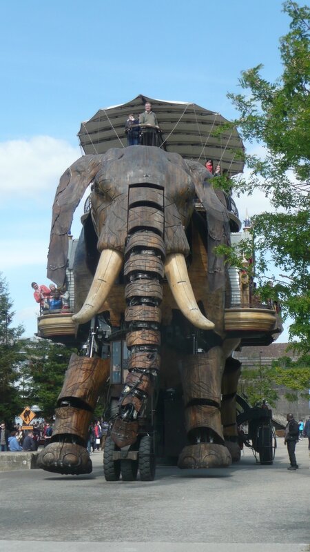 Elephant géant
