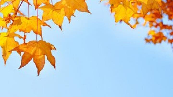 automne-feuilles_0