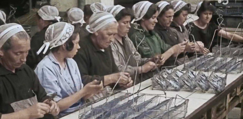penn-sardin à l'usine-1