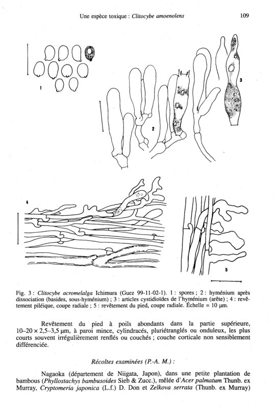 Moreau_micro_1