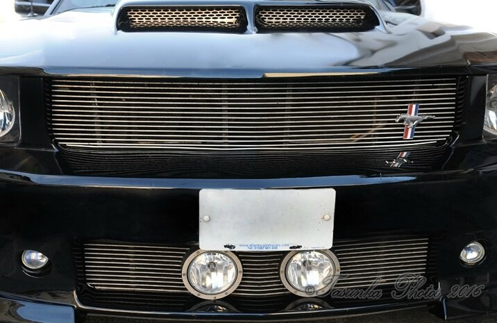 MustangGTASCdominator_Tasunkaphotos2017_ 01