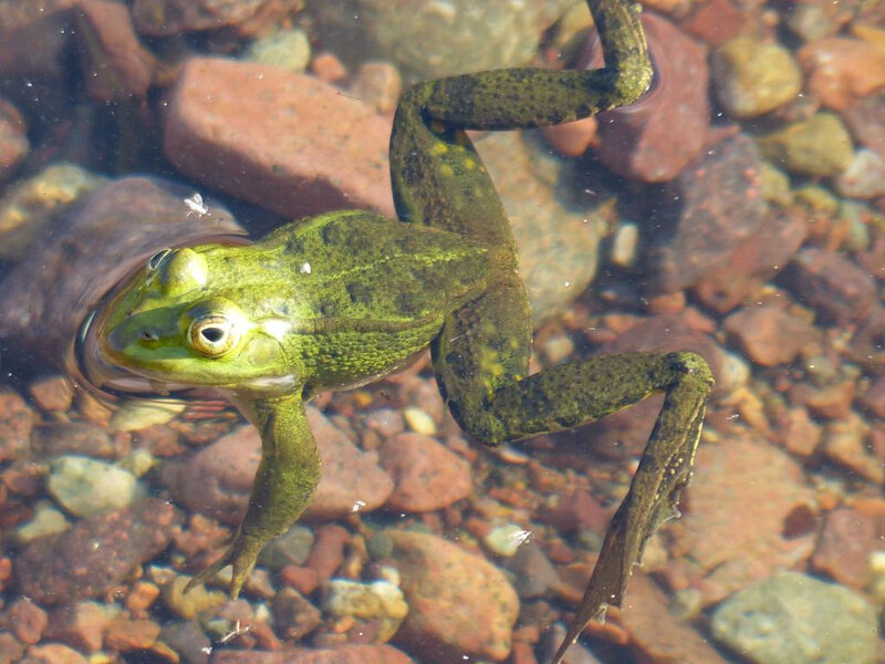 P1250017