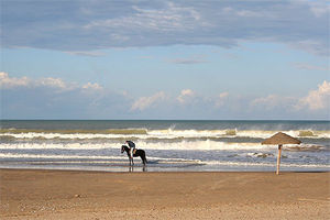 Plage_Gammarth