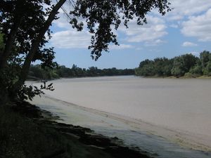 Bords_Garonne_Isle_Saint_Georges_juillet_2008_5