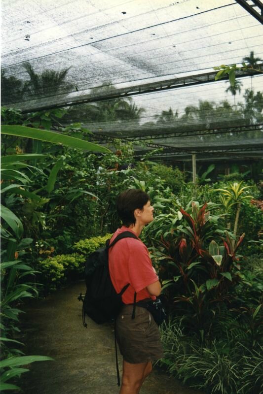 thai045