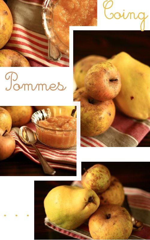 Recette Compote de coing au sirop d’érable, pour un dessert d’automne