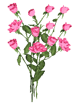 bouquet_fleurs_roses_source_1nt