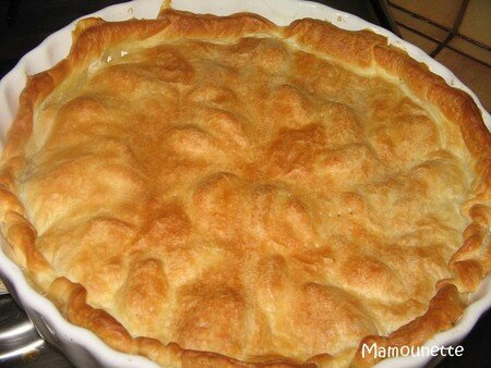 Tatin_pommes_poires_010