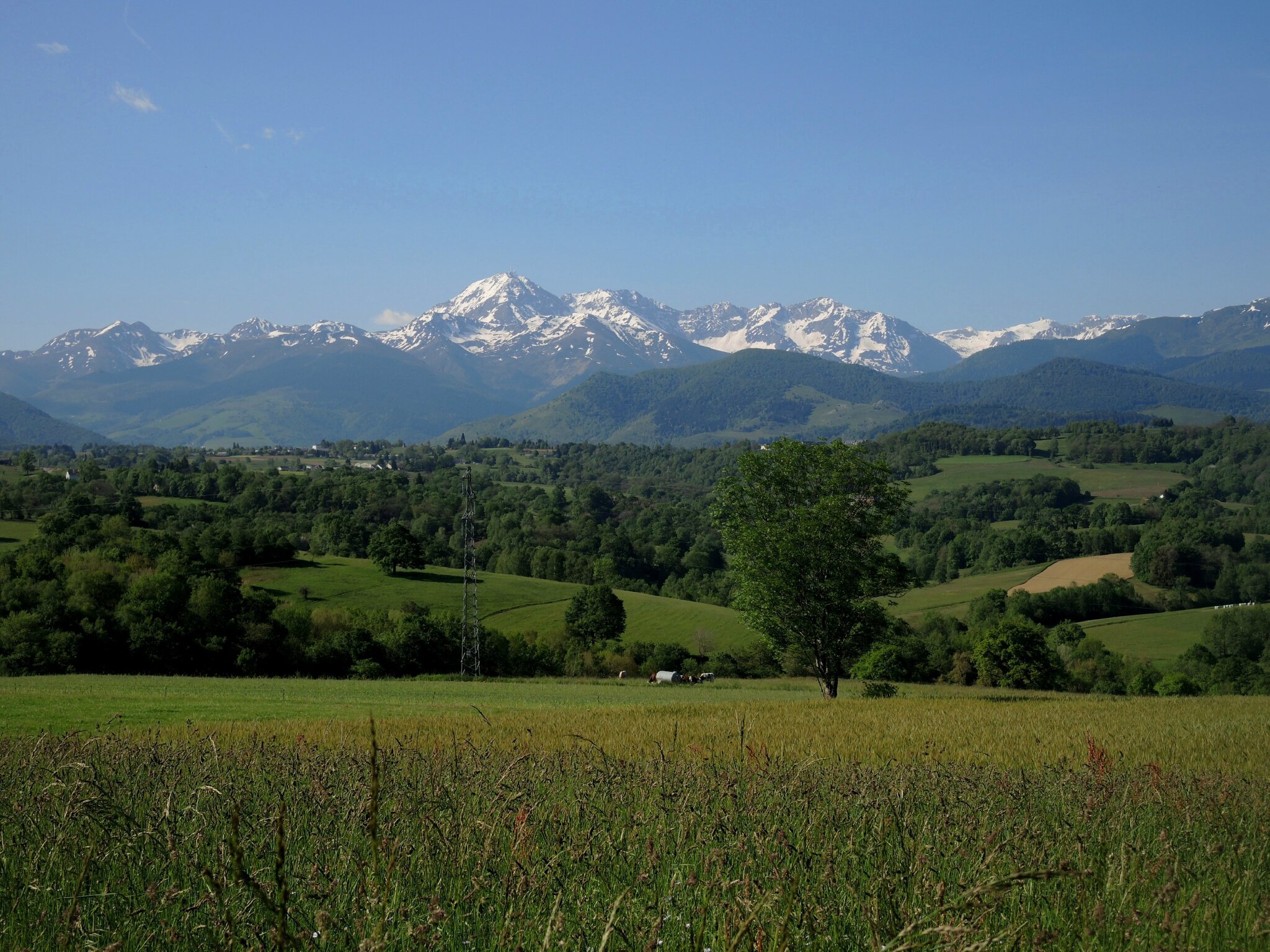 Orignac, vue sur le Pic du Midi de Bigorre (65)