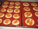 Douceurs_cheese_abricot_es_010