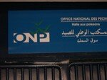 DSCN0025