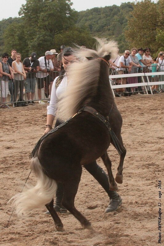 Photos JMP©Koufra 12 - Fers et Lames - 04 septembre 2016 - 0664 - B