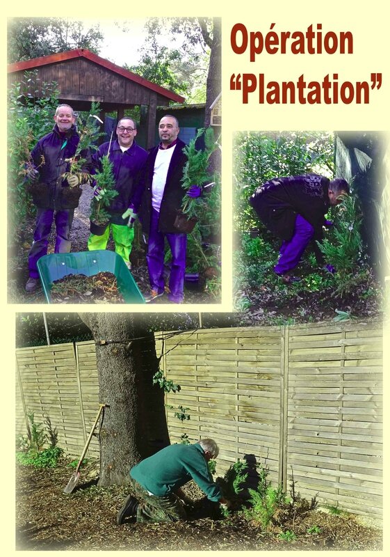 plantation