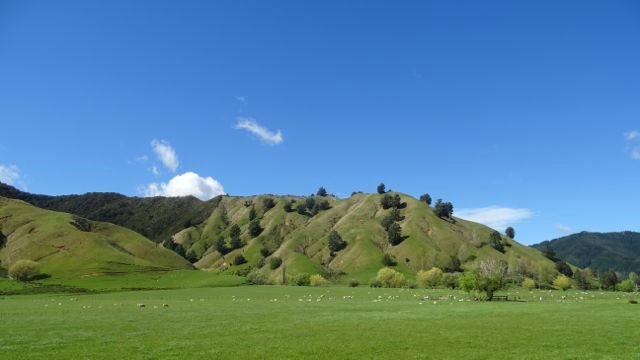 DSC01277