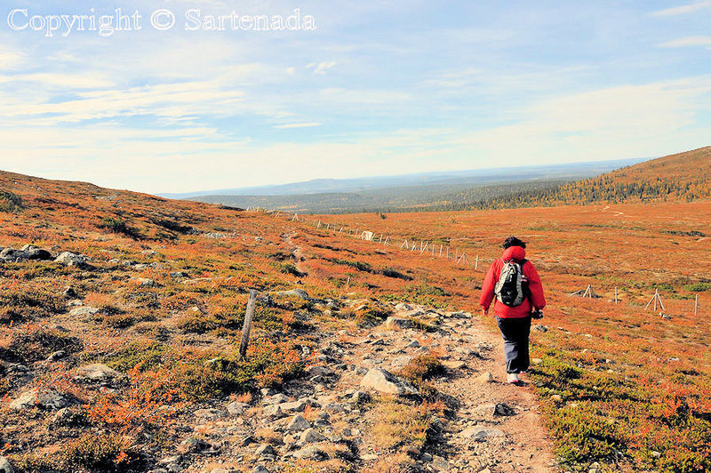 Palkaskero_Fell_Lapland_ (44)