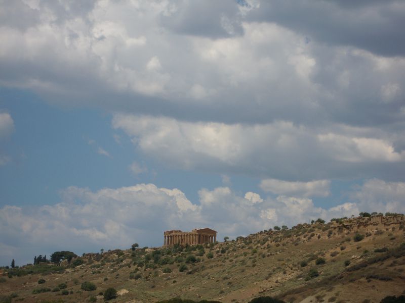 DSCN4441