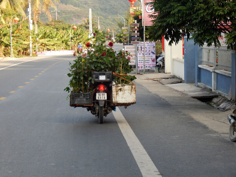 VN_20200106_cat ba 45_en scooter