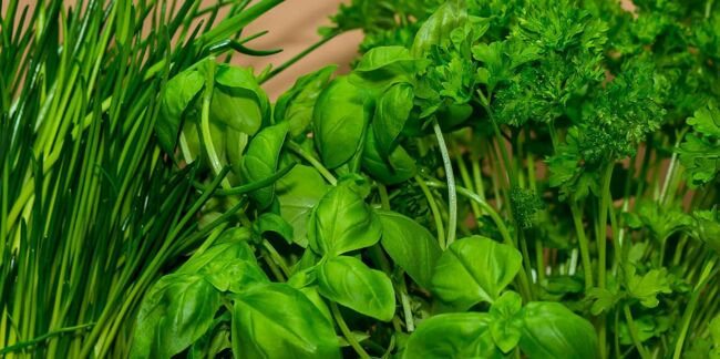 herbes-aromatiques-comment-les-cuisiner-et-leurs-atout-sante