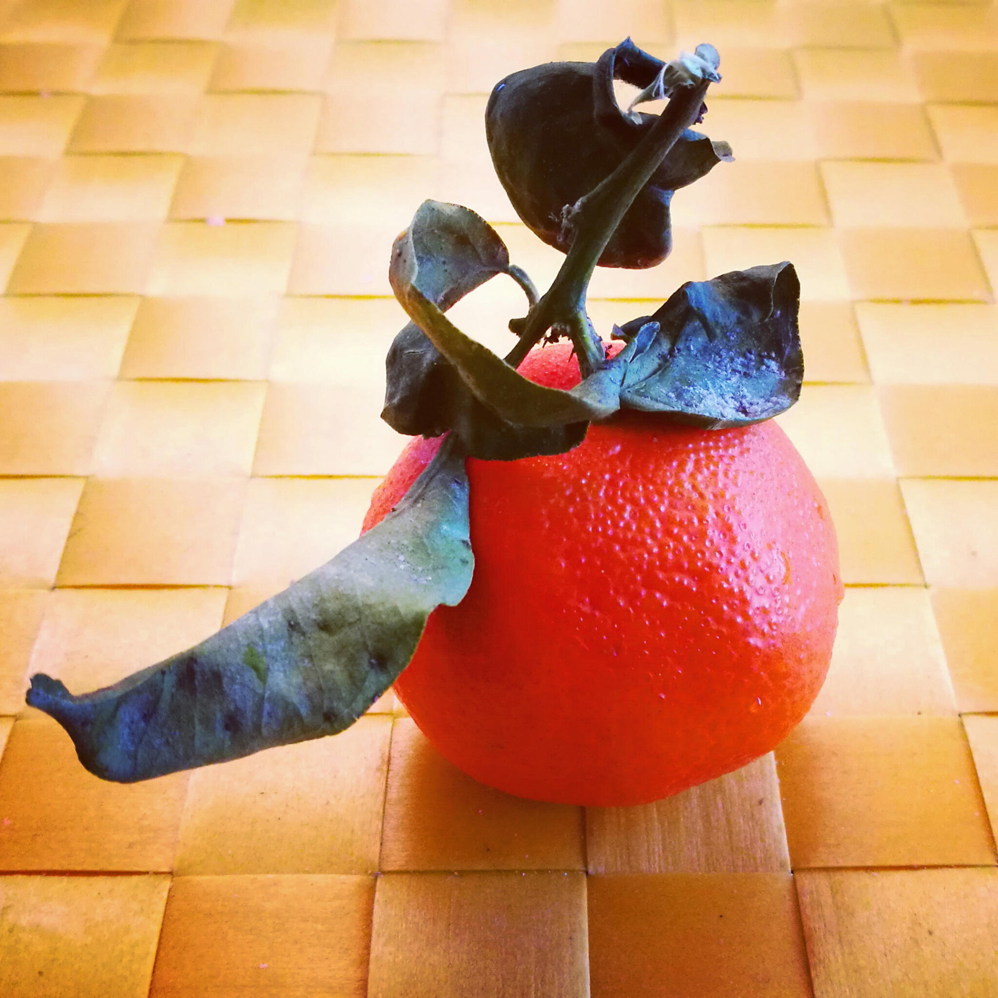 Breakdance clémentine insta
