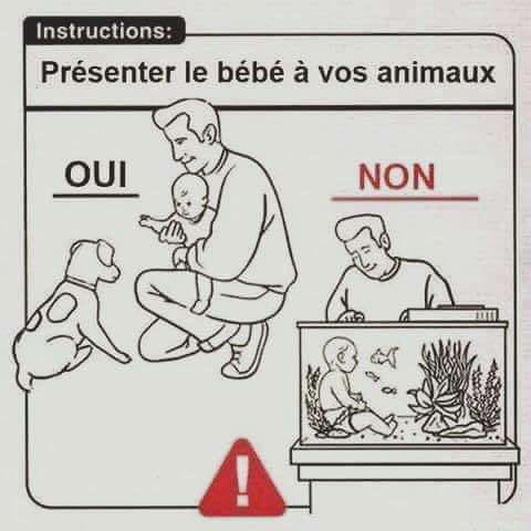 Bébé et les animaux