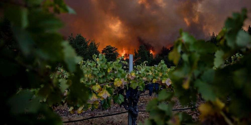 2020 09 28 vignobles