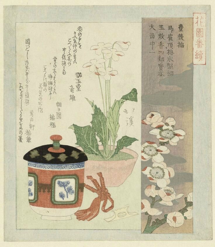 工芸品   / Baca / Johanne  Japanese 