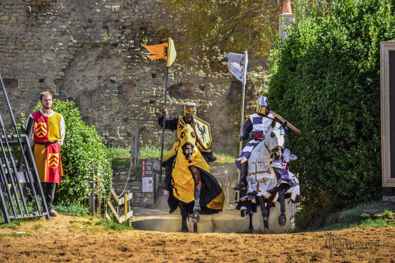 Croisade Guy de Lusignan à la rencontre du roi d’Angleterre Richard Cœur de Lion (3)