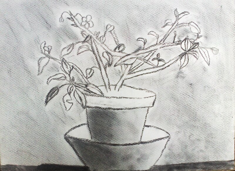 NaturMorte15