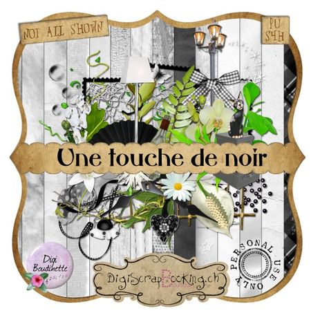 une_touche_de_noir