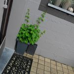 2012-06-061