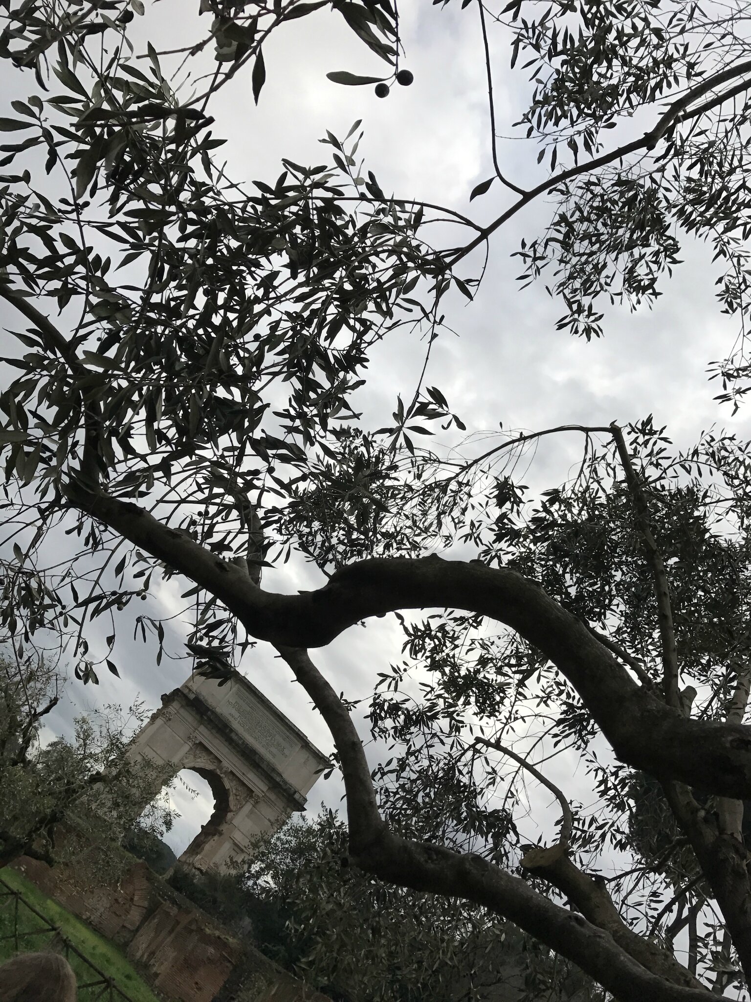 Entre Paris et Rome Poèmes et Photos Voyage scolaire avec 100 5e ...