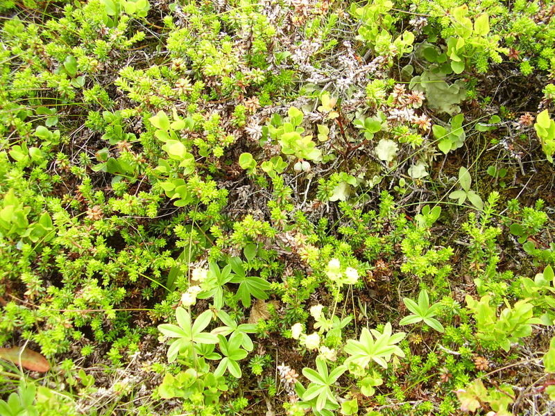 10-08-08 Grotfjord (24)