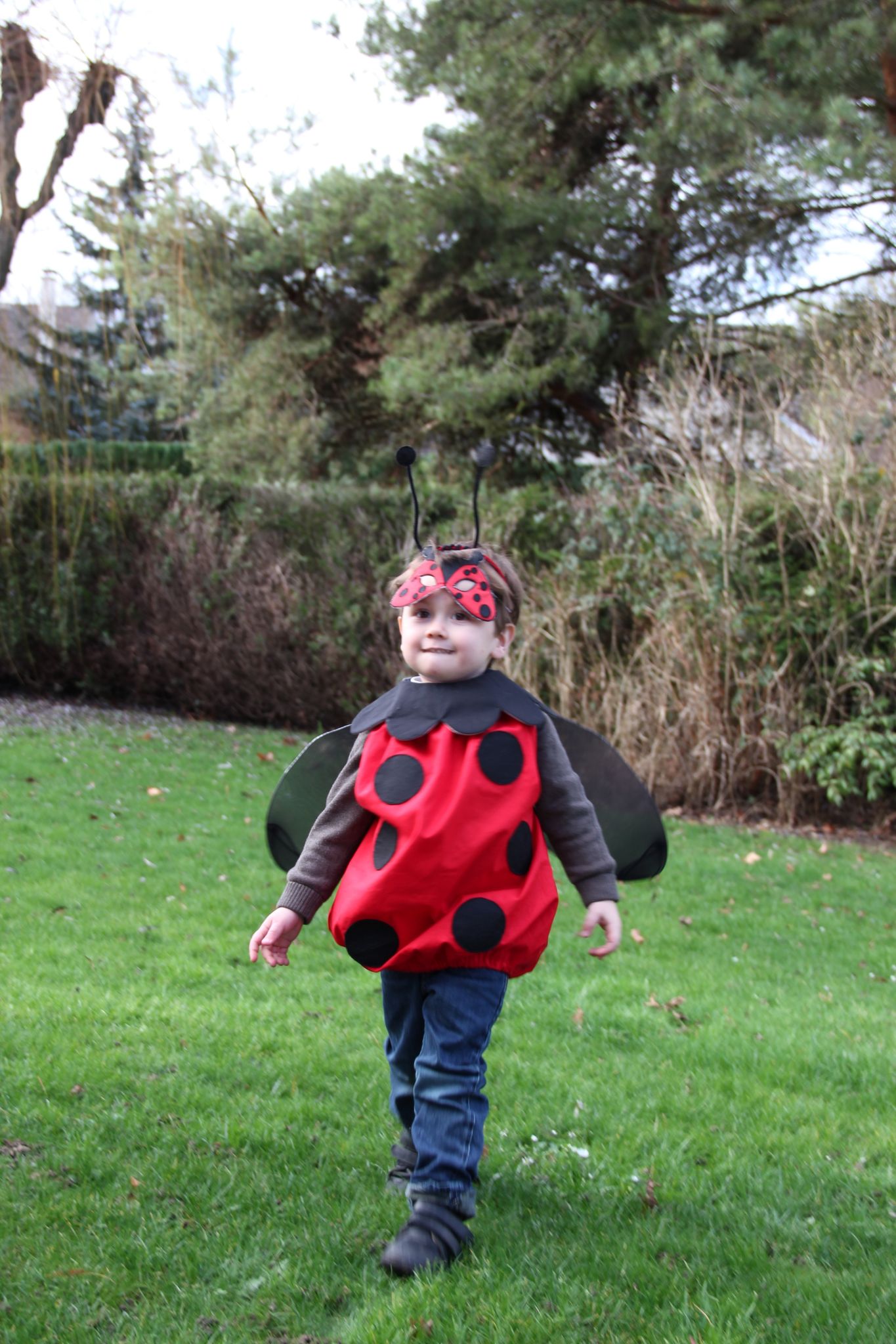 Une coccinelle C est l heure de la sieste