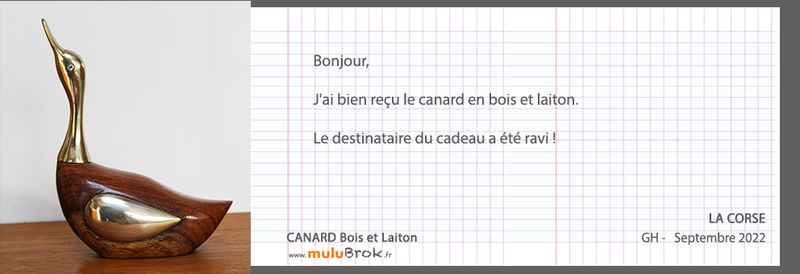 22-9-CANARD-LAITON-muluBrok-Messages
