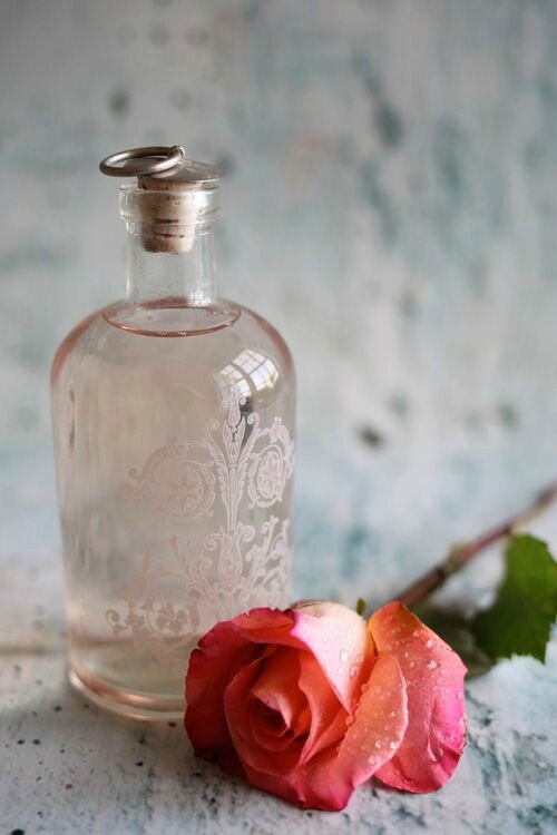 Rose Pinterest