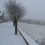 2012-12-0312