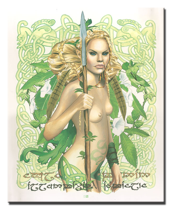 AFFICHE_FEE_BRUCERO