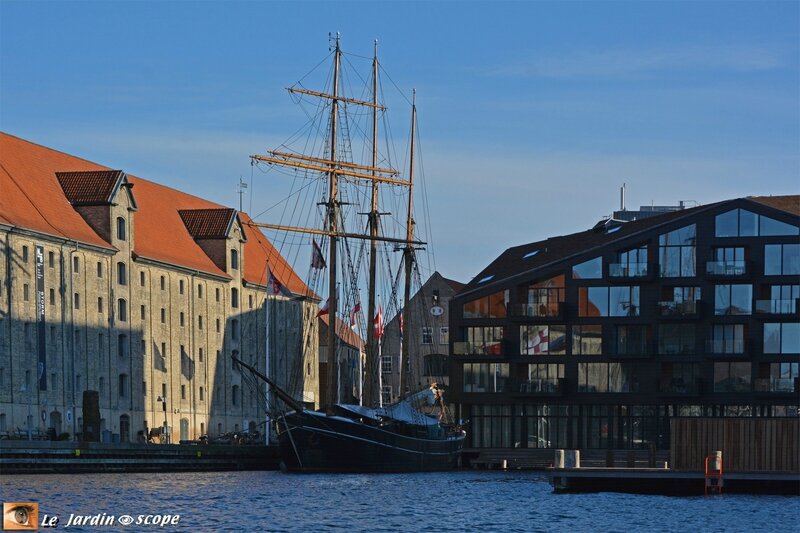 Havnen