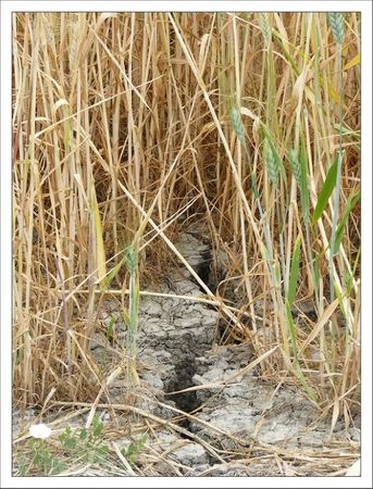 terre seche 2 120611